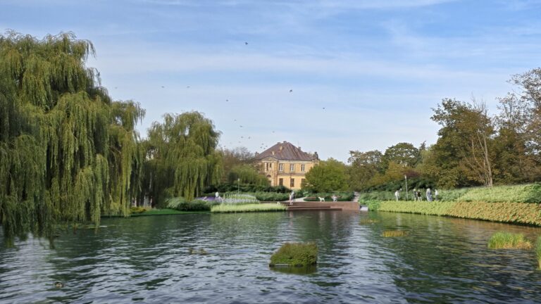 Zielona rewolucja w parku. Kielce dostały 11 mln zł dotacji Fot.: UMK/Staw w kieleckim parku przejdzie gruntowną rewitalizację – po przebudowie ma stać się biologicznym sercem zielonej przestrzeni i ważnym elementem retencji wody.