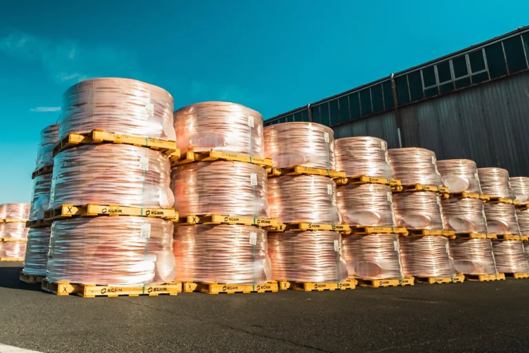 Polska śpi na prawdziwym bogactwie