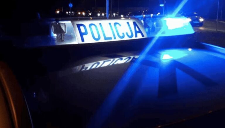 Kilka godzin grozy pod Kielcami. Szczęśliwy finał poszukiwań dziecka Fot.: Policja/Kilka godzin niepewności zakończyło się szczęśliwie. Dziewczynka wróciła do rodziny.