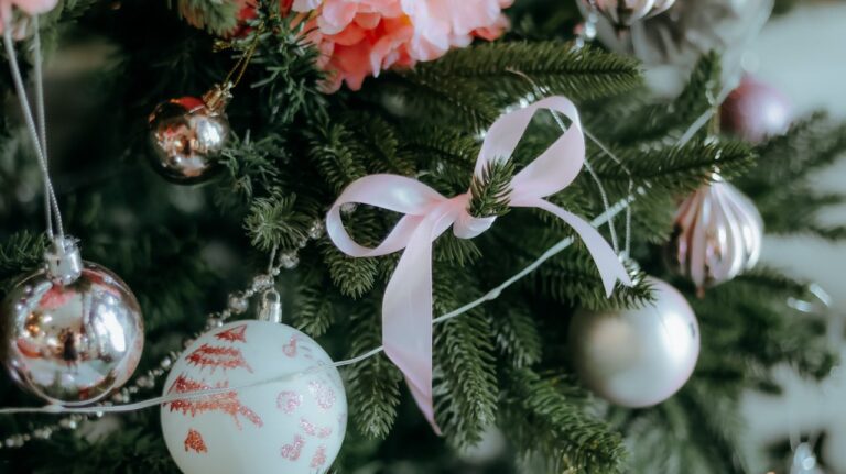 Czas na wybór żywych choinek