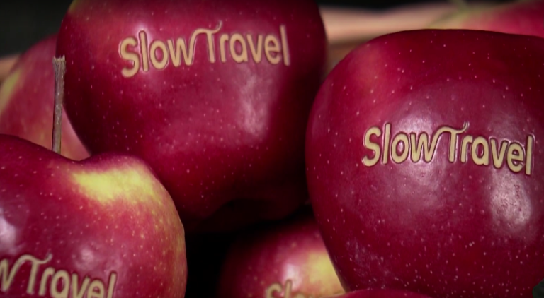 Weekend pod znakiem turystyki wolnej. Slow Travel wraca do Kielc