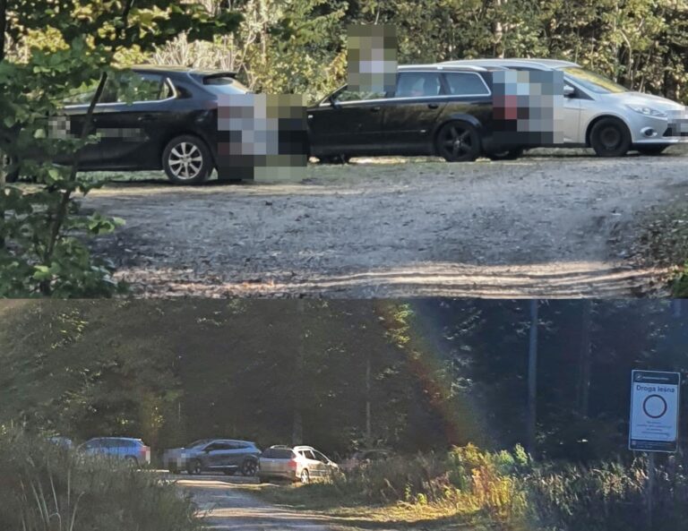 tłumy ludzi, grzybiarze
